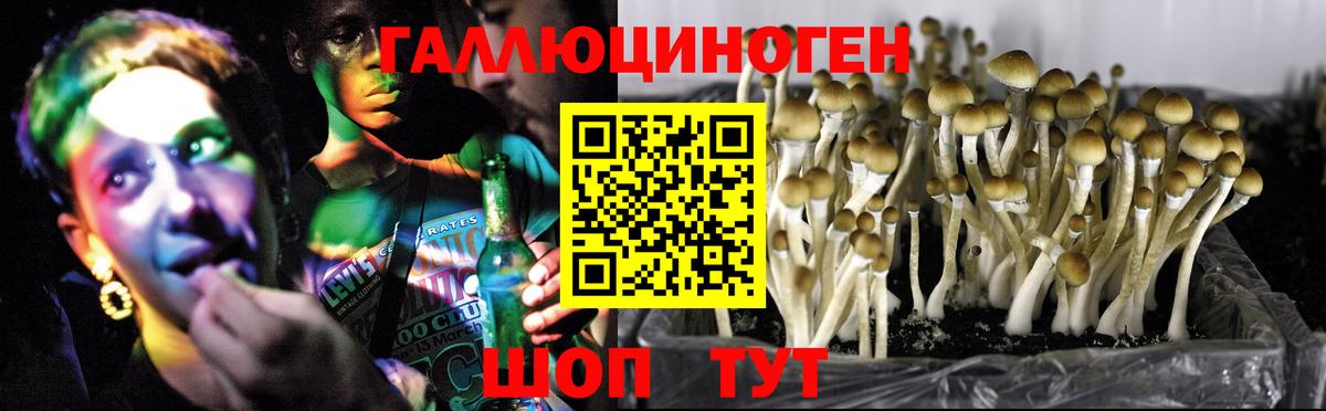 Псилоцибиновые грибы мухоморы  Вход с VPN  Киров 