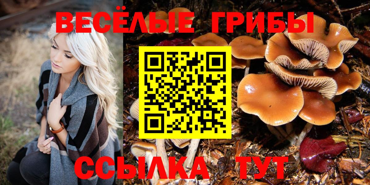 Псилоцибиновые грибы мицелий Киров